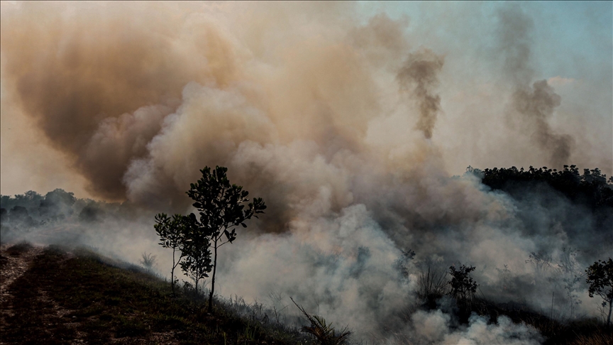 Vatrogasci pod kontrolu stavili veliki šumski požar na sjeveru Maroka