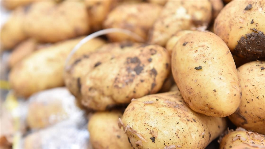 Ağustos'ta fiyatı en fazla artan ürün "şans oyunları", düşen ürün ise "patates" oldu
