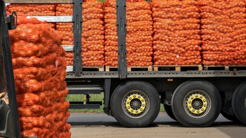 Кыргызстан ввел запрет на вывоз отдельных сельхозтоваров 