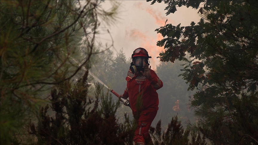 Deforestation after wildfires exacerbated effects of flooding in Greece, says expert