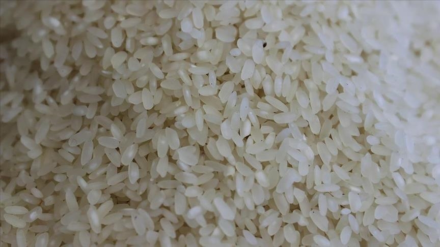 Global food prices down in August while rice prices see 15-year high