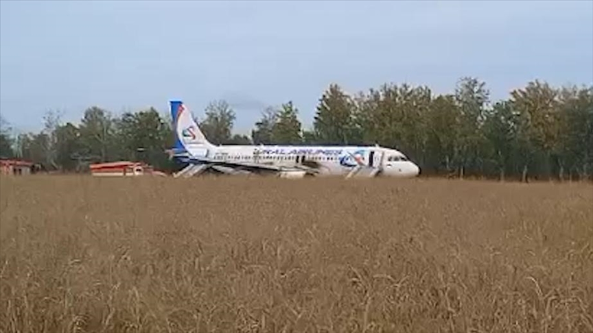 Самолет «Уральских авиалиний» совершил экстренную посадку в поле