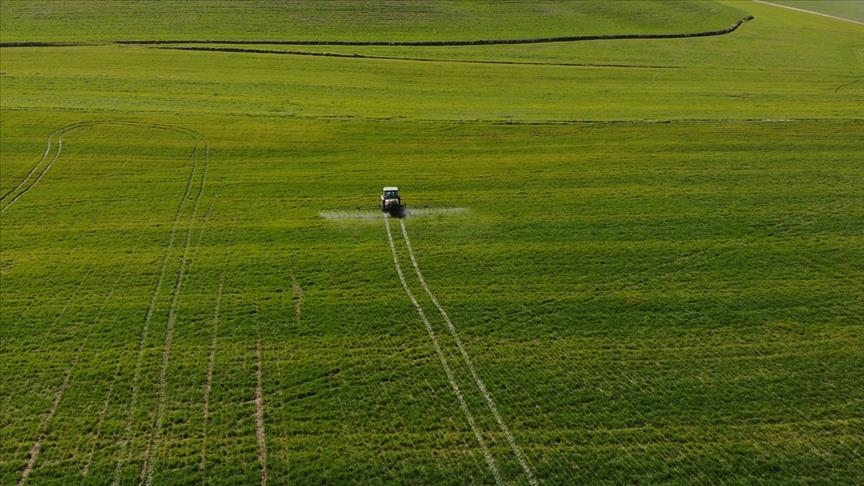 Tarım ÜFE ağustosta aylık bazda yüzde 3,83, yıllık yüzde 76,35 arttı