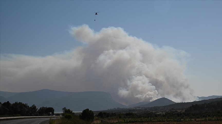 İzmir'in Menderes ilçesinde orman yangını çıktı