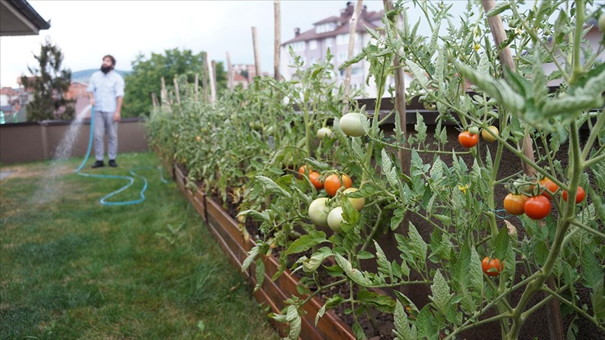 Novopazarac se na krovu zgrade bavi urbanim baštovanstvom