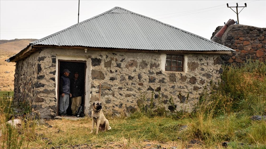 Dededen kalma su değirmeninde para geçmiyor