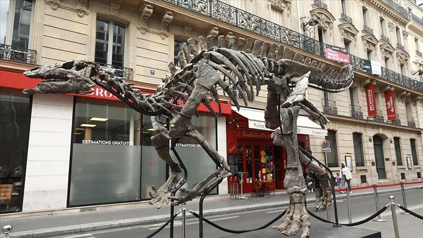 Rare 150 Million-year-old Dinosaur Skeleton To Be Auctioned In Paris