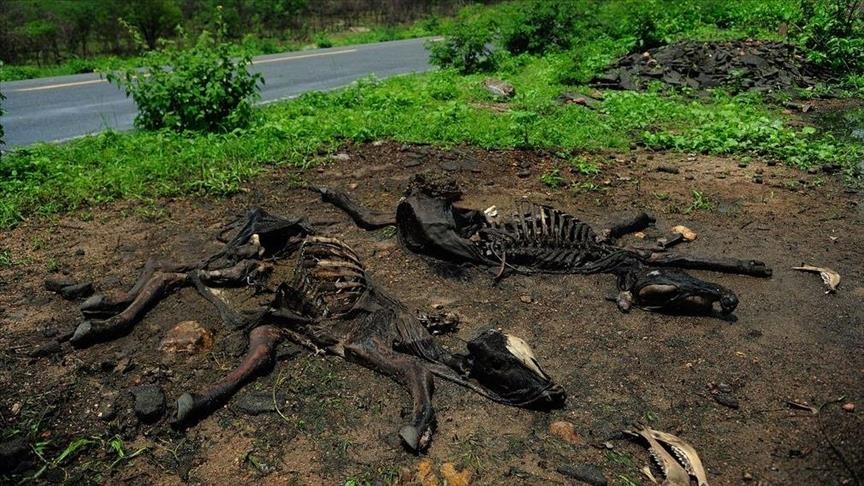 Estado de Brasil emite advertencias por sequía amazónica que afectaría 500.000 personas