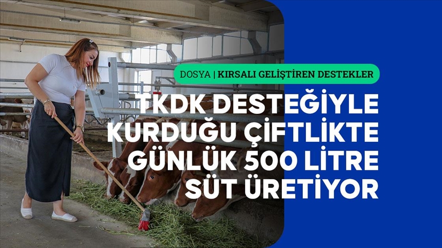 Vanlı ziraat mühendisi, TKDK desteğiyle kurduğu çiftlikte günlük 500 litre süt üretiyor