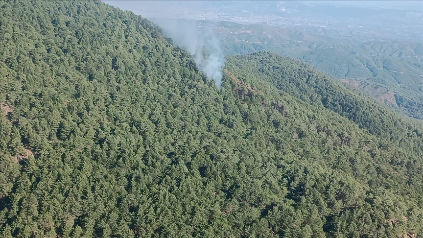 Hatay'da çıkan orman yangını kontrol altına alındı