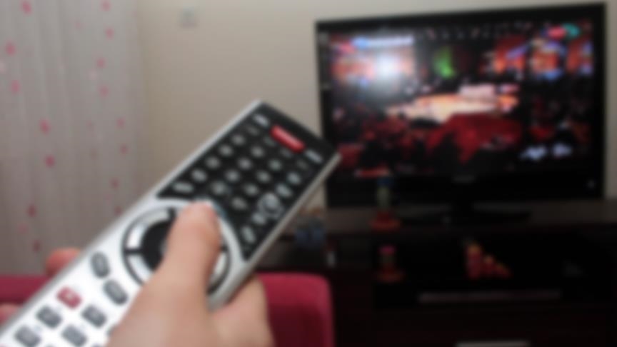 France : L’Arcom saisie après une question d'un journaliste liant punaises de lit et immigration