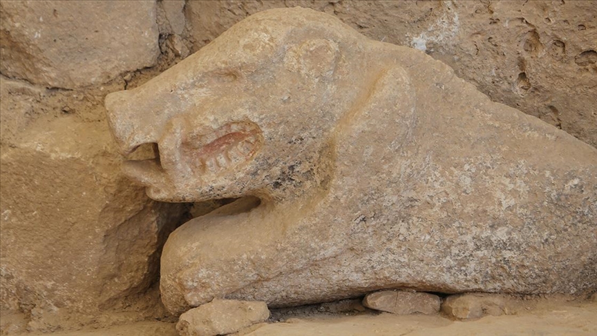Göbeklitepe'de bulunan yaban domuzu heykeli AA ekibince görüntülendi