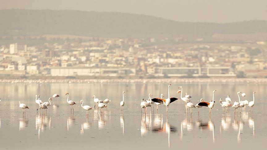 "سبخة السيجومي".. رئة العاصمة تونس يهاجمها التلوث (تقرير)
