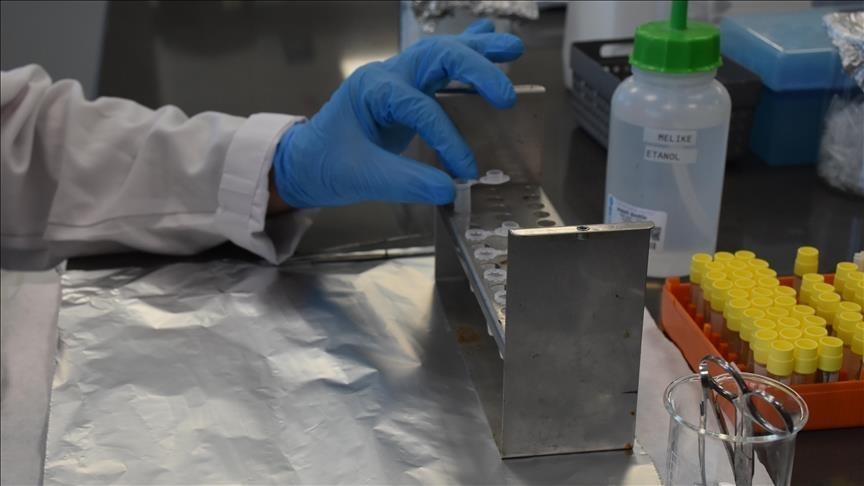 Grèce : 19 décès dus au virus du Nil occidental