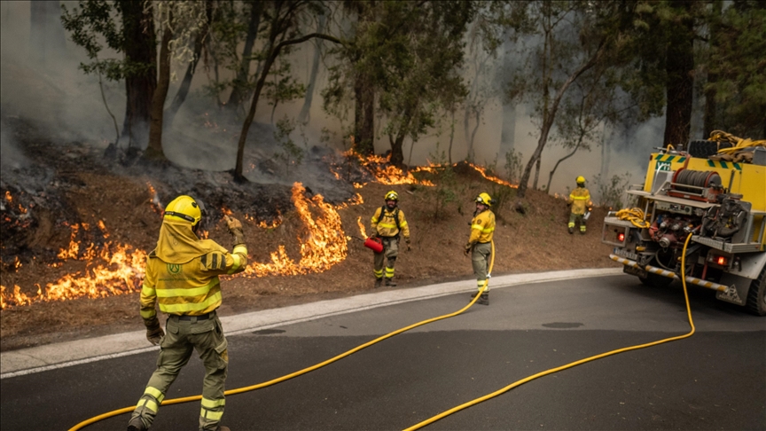 Šumski požar na Tenerifama: Evakuirano 3.000 mještana