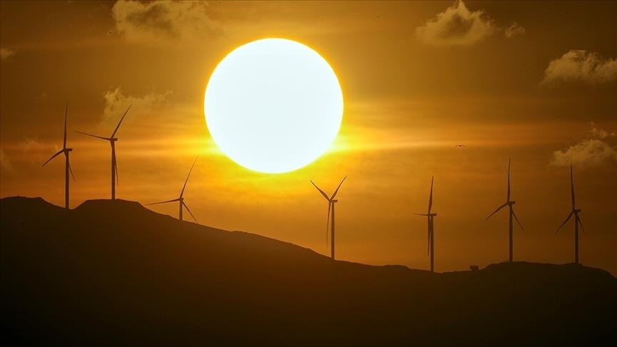 Доля солнца и ветра в производстве электроэнергии в мире достигла рекордных 14,3 %