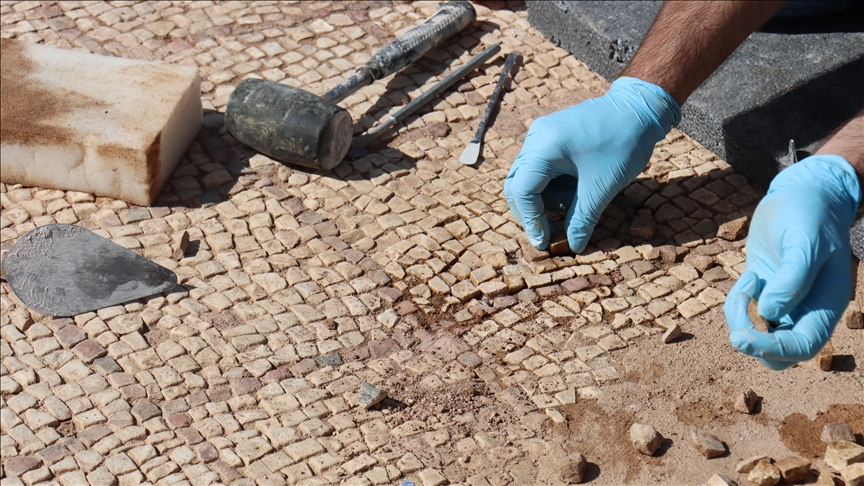 В Турции взята под охрану 1800-летняя мозаика  