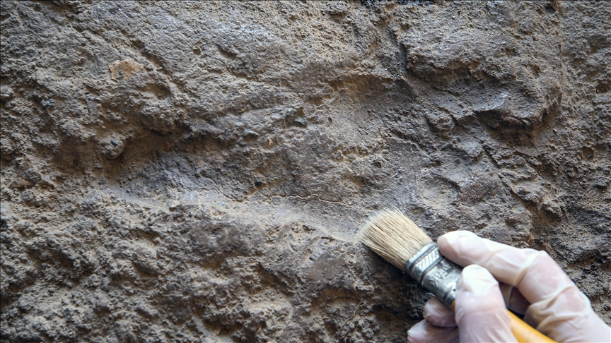 Age of oldest fossil human footprints in North America earlier than thought: Study