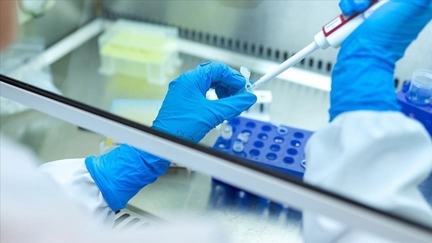 Egypt becomes 1st country to achieve WHO validation on path to elimination of hepatitis C