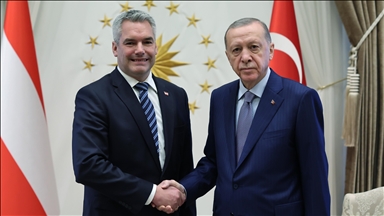 Turkish President Erdogan, Austrian chancellor meet in Ankara for talks