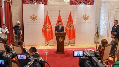 В Черногории по-прежнему не удается сформировать правительство