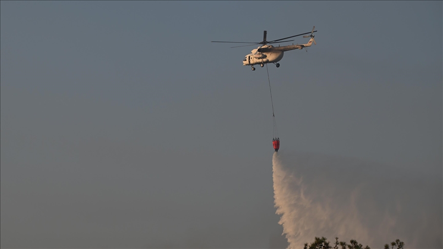 Fight with forest fires far beyond helicopters, fire extinguishers: Official