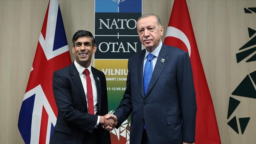 Эрдоган и Сунак обсудили конфликт Израиля и Палестины