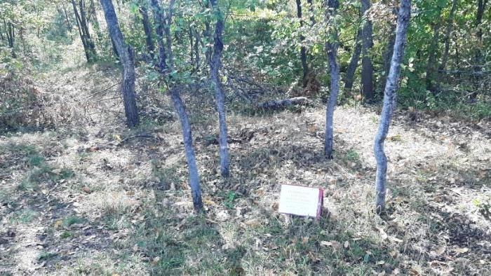 BiH: U Višegradu ekshumirani posmrtni ostaci jedne žrtve proteklog rata