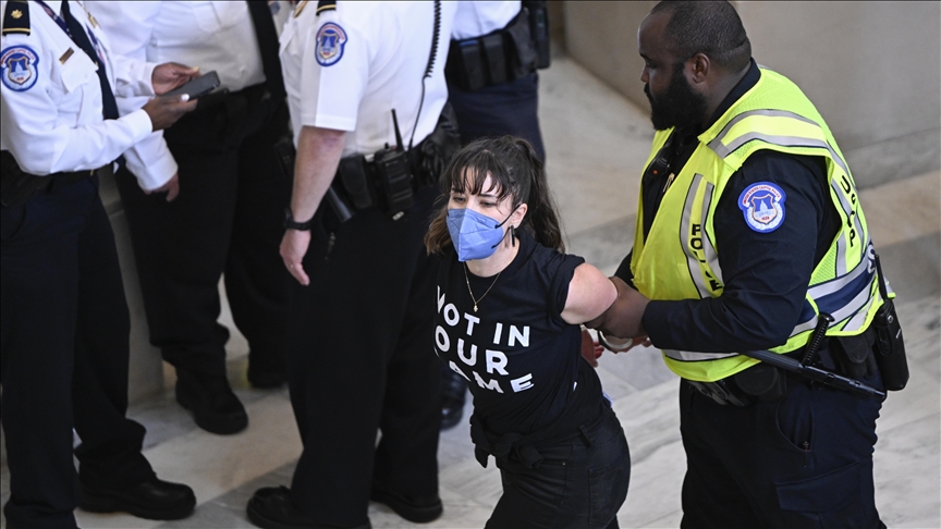 Pro-Palestine demonstrators arrested at Capitol Hill protest against Gaza violence