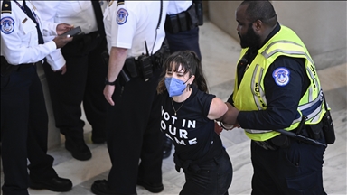 Pro-Palestine demonstrators arrested at Capitol Hill protest against Gaza violence