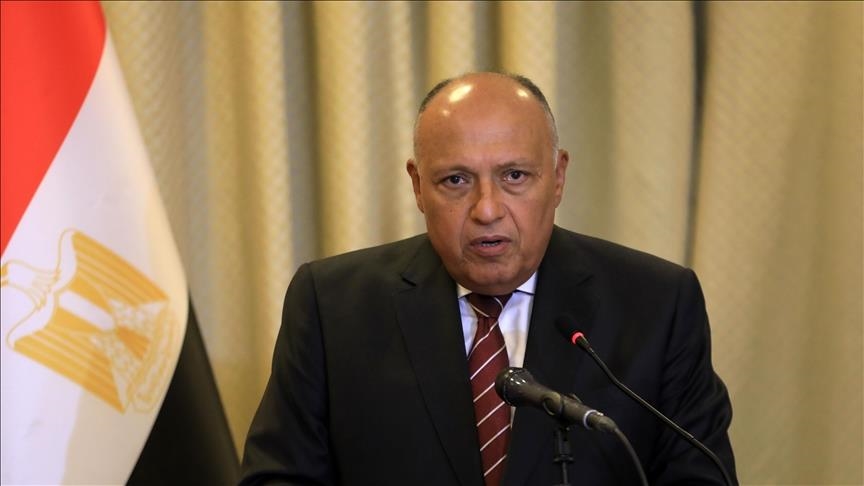 Foreign minister affirms Egypt's efforts to deliver aid to Gaza