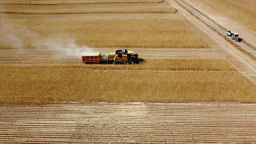 Trakya'da çiftçi bu yıl da buğdayını kuru toprağa ekecek