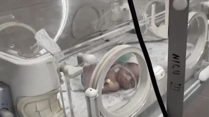 Гинеколог палестинской больницы: Если срочно не придет помощь, все новорожденные погибнут