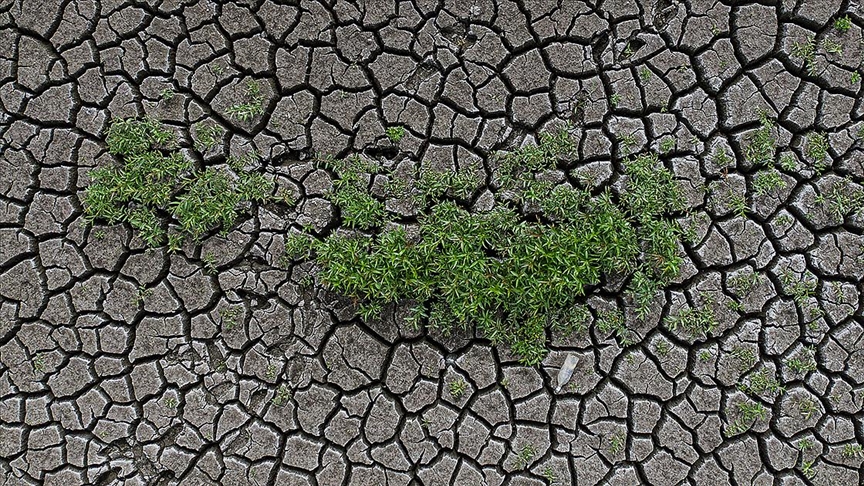 İklim değişikliğinin artan etkileri, tarımda daha fazla adaptasyon politikası gerektiriyor