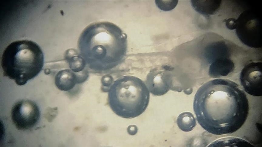 Black Sea's green hydrogen holds promise as green fuel: Experts