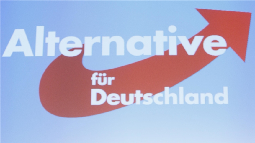 Politician from German right-wing AfD party arrested