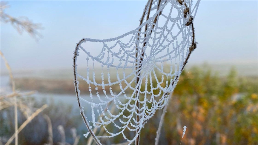 Ardahan ve Kars'ta soğuk hava kırağı, buzlanma ve sis oluşturdu