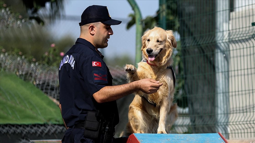 Özel eğitimli köpek "Şans"a yangınlarda büyük görev düşüyor