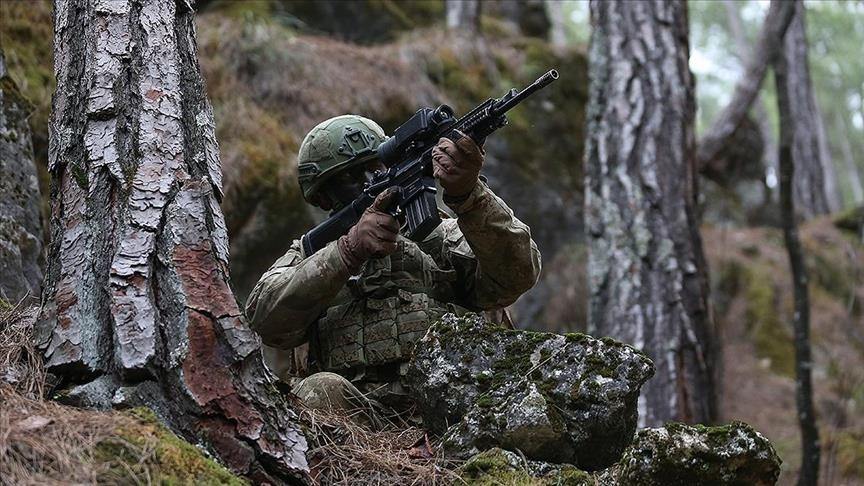 Турецкие спецслужбы нейтрализовали особо опасную террористку на севере Ирака