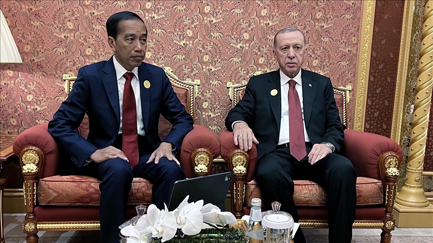 Turkish president meets with Indonesian counterpart in Riyadh