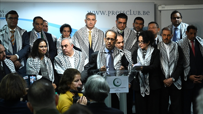 Organization of Islamic Cooperation urges international push for cease-fire in Gaza