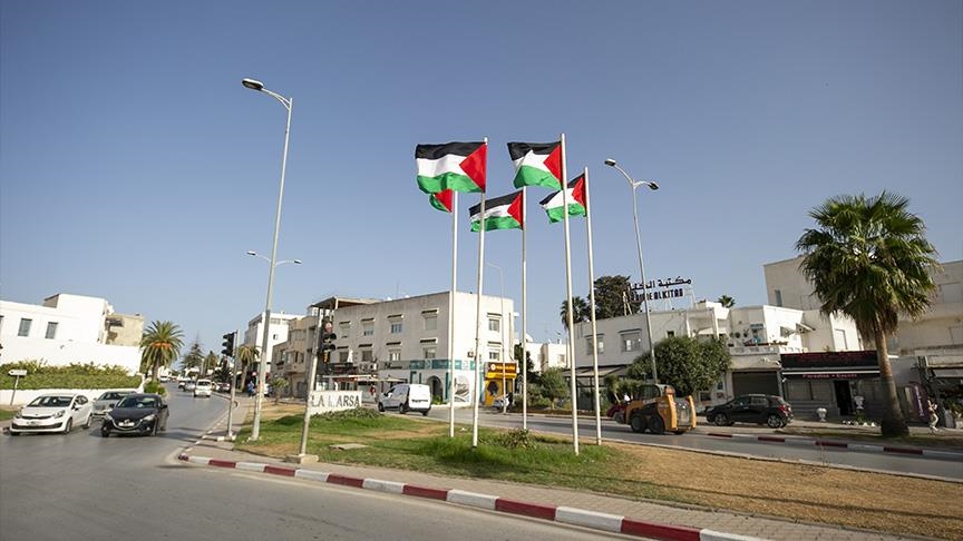 العلم الفلسطيني.. راية للفخر ترفرف في أنحاء تونس (تقرير)