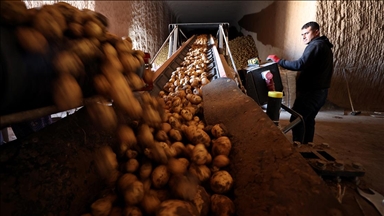 Kapadokya'daki yer altı depoları tüketicinin patates tedarik sorununu ortadan kaldırıyor