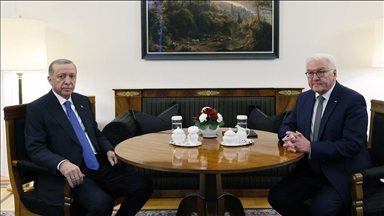 Erdogan et Steinmeier conviennent que la seule solution au conflit israélo-palestinien est une structure à deux États 