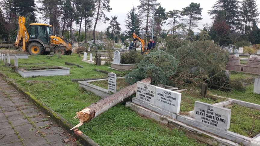 Zonguldak ve Düzce'de fırtınada devrilen ağaçlar mezarlara zarar verdi