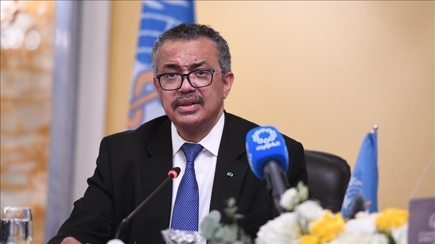 L'OMS se félicite de la conclusion d'un accord pour une trêve humanitaire à Gaza