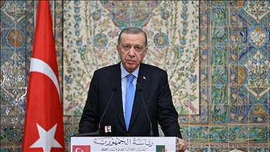 Türkiye cannot accept Israel's policy of depopulating Gaza: President Erdogan