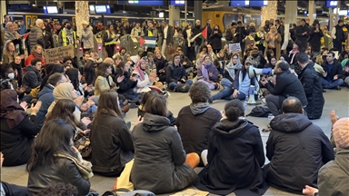 Protesters in Netherlands stage sit-in in solidarity with Palestinians