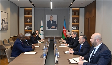 Глава МИД Азербайджана и генсек ОИС обсудили нынешнюю обстановку в регионе