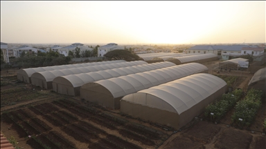 Turkish aid agency installs greenhouses to strengthen Somalia’s agricultural infrastructure